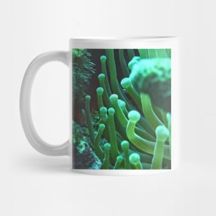 Green Sea Anemone Macro Mug